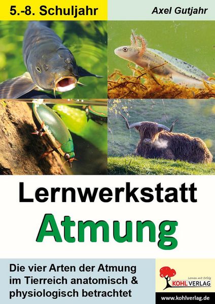 Produktbild: Lernwerkstatt Atmung / Band 1 (Klasse 5-8)