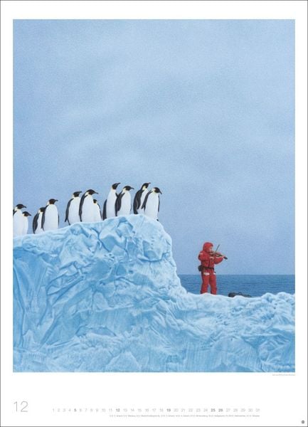 Produktbild: Quint Buchholz: Augenblicke Kalender 2027