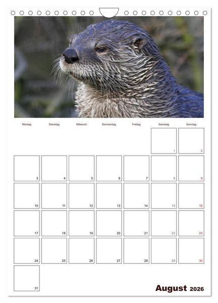Produktbild: Der Fischotter-Terminplaner (Wandkalender 2026 DIN A4 hoch), CALVENDO Monatskalender