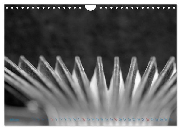 Produktbild: Akkordeon - close up (Wandkalender 2026 DIN A4 quer), CALVENDO Monatskalender