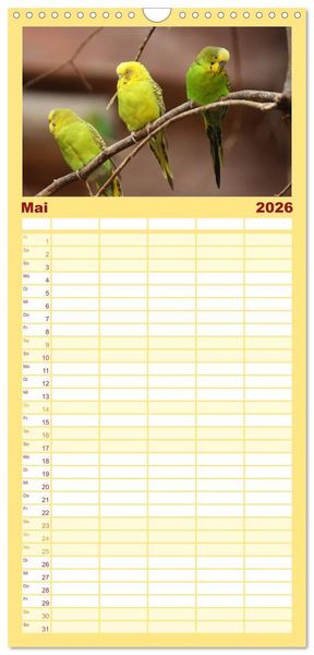 Produktbild: Familienplaner 2026 - Wellensittiche - Gefiederte Freunde mit 5 Spalten (Wandkalender, 21 x 45 cm) CALVENDO