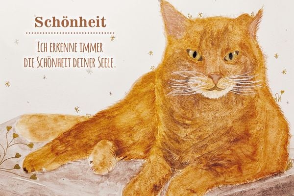 Produktbild: Botschaften unserer Tiere - Liebevolle Impulse f&uuml;r die Mensch-Tier-Beziehung