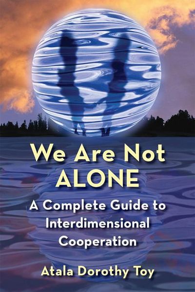 Produktbild: We Are Not Alone