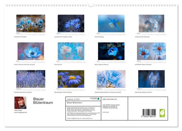 Produktbild: Blauer Bl&uuml;tentraum (hochwertiger Premium Wandkalender 2026 DIN A2 quer), Kunstdruck in Hochglanz