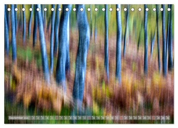 Produktbild: Atelier Wald - gemalt mit Licht (Tischkalender 2026 DIN A5 quer), CALVENDO Monatskalender