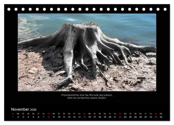 Produktbild: Freundschaft (Tischkalender 2026 DIN A5 quer), CALVENDO Monatskalender
