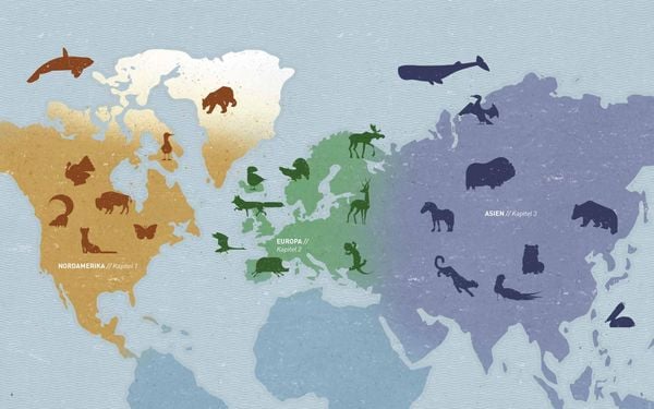 Produktbild: Die Welt der wilden Tiere