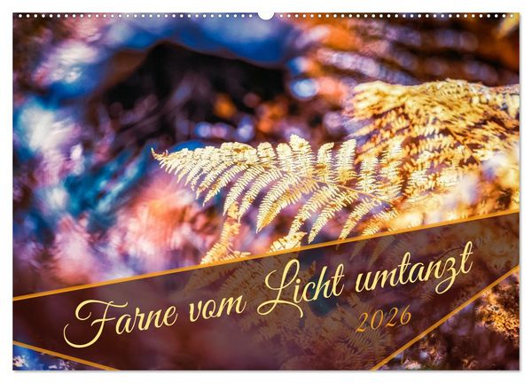 Farne vom Licht umtanzt (Wandkalender 2026 DIN A2 quer), CALVENDO Monatskalender