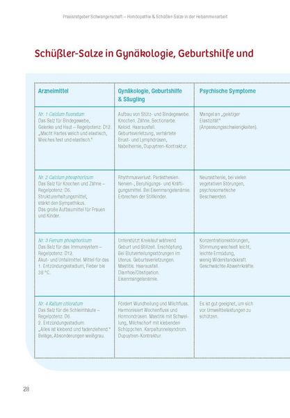 Produktbild: Praxisratgeber Schwangerschaft