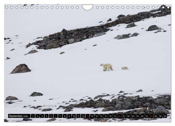 Produktbild: Spitzbergen - Arktische Impressionen (Wandkalender 2026 DIN A4 quer), CALVENDO Monatskalender