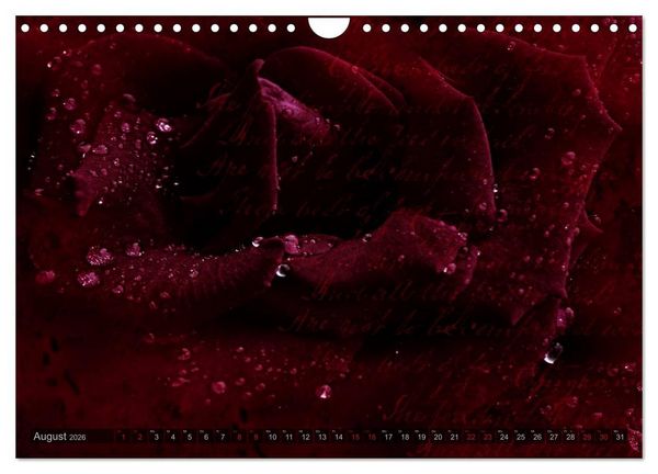 Produktbild: Gothic Rose - Rosen aus dem Garten der Finsternis (Wandkalender 2026 DIN A4 quer), CALVENDO Monatskalender