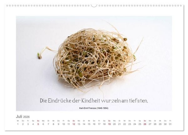 Produktbild: FunnyFood (hochwertiger Premium Wandkalender 2026 DIN A2 quer), Kunstdruck in Hochglanz