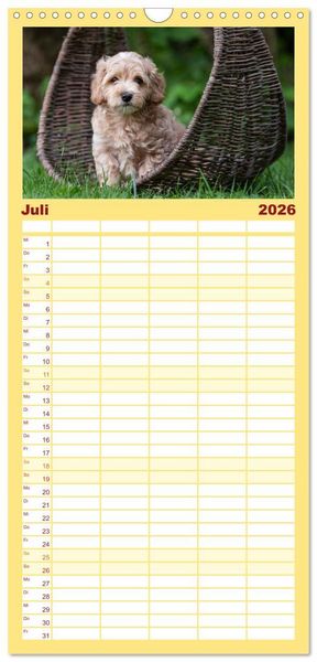 Produktbild: Familienplaner 2026 - Maltipoo Welpen mit 5 Spalten (Wandkalender, 21 x 45 cm) CALVENDO