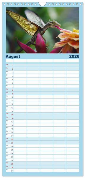 Produktbild: Familienplaner 2026 - Drachen - Herrscher der Welt mit 5 Spalten (Wandkalender, 21 x 45 cm) CALVENDO
