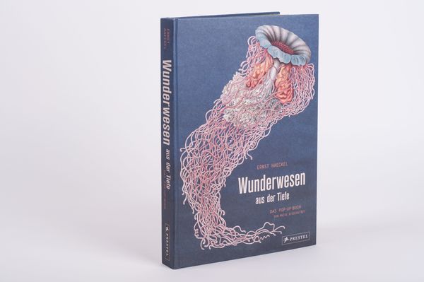 Wunderwesen aus der Tiefe. Ernst Haeckel