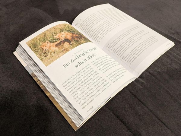 Produktbild: Das Bibellesebuch zu 1. Mose