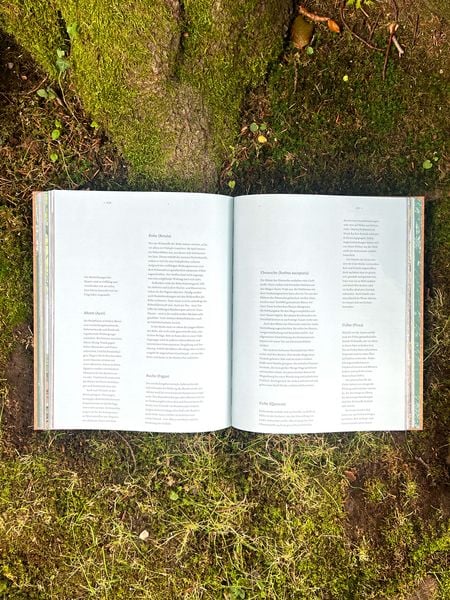 Produktbild: The Woods