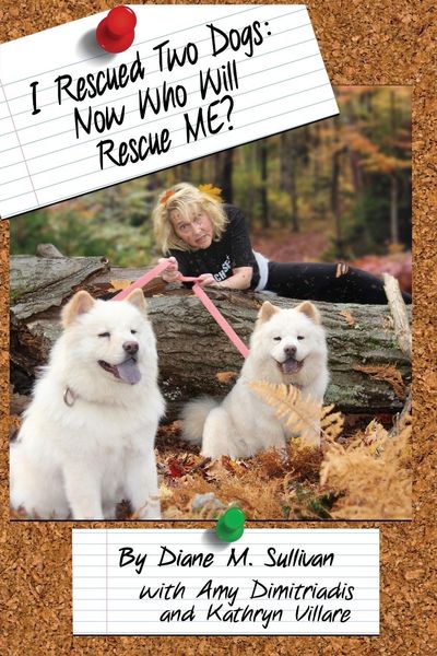 Produktbild: I Rescued Two Dogs
