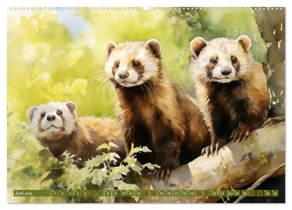 Produktbild: Zw&ouml;lf Monate im Wald (hochwertiger Premium Wandkalender 2026 DIN A2 quer), Kunstdruck in Hochglanz