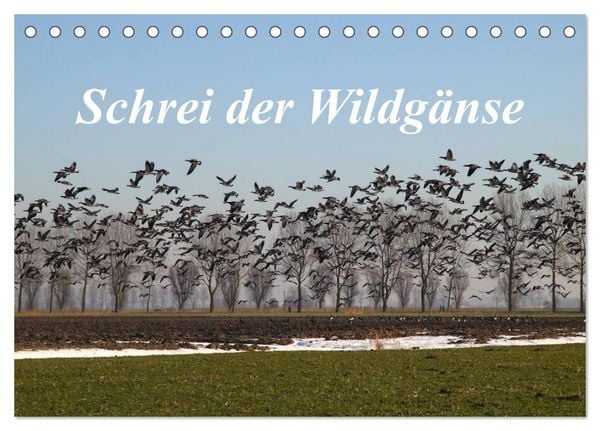 Produktbild: Schrei der Wildg&auml;nse (Tischkalender 2026 DIN A5 quer), CALVENDO Monatskalender