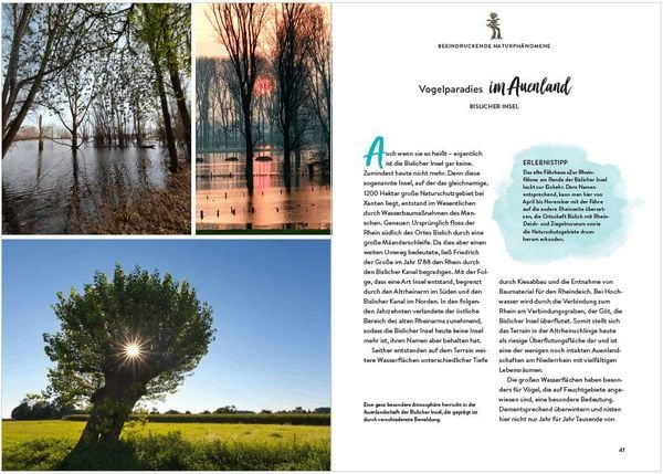 Produktbild: Das Buch der kuriosen Orte im Ruhrgebiet