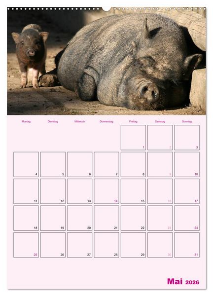 Produktbild: Schweinischer Terminplaner (hochwertiger Premium Wandkalender 2026 DIN A2 hoch), Kunstdruck in Hochglanz