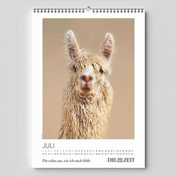 Produktbild: DIE ZEIT Kalender 2027