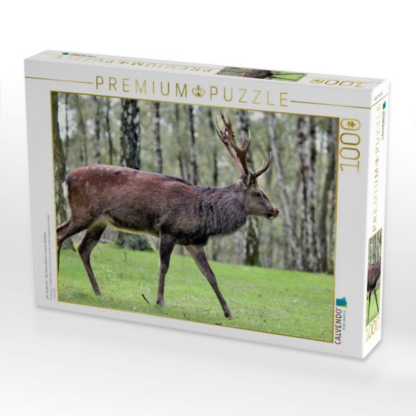 Produktbild: CALVENDO Puzzle Der Sikahirsch - Der kleine Asiat in unseren W&auml;ldern | 1000 Teile Lege-Gr&ouml;&szlig;e 64x48cm Foto-Puzzle f&uuml;r gl&uuml;ckliche Stunden
