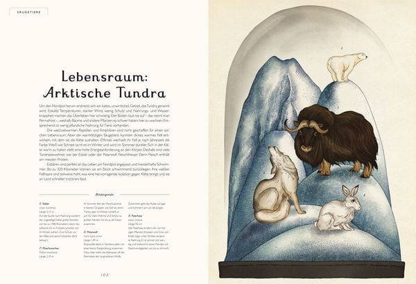 Produktbild: Das Museum der Tiere