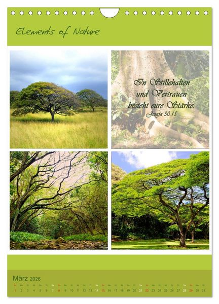 Produktbild: Elements of Nature (Wandkalender 2026 DIN A4 hoch), CALVENDO Monatskalender