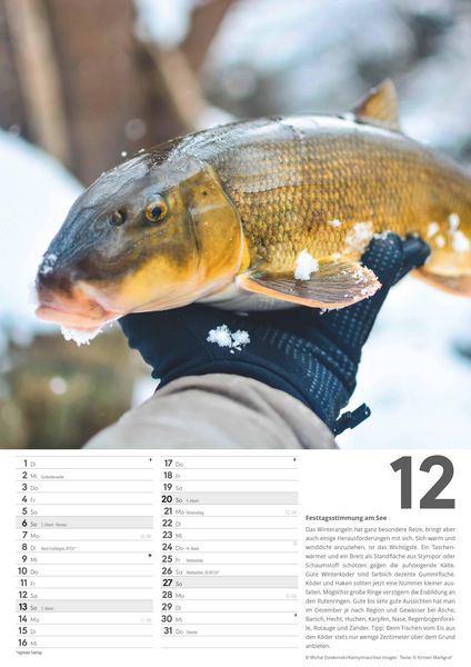 Produktbild: Der große Angelkalender 2026 - Bildkalender A3 (29,7x42 cm) - mit vielen Zusatzinformationen aus der Anglerwelt und Platz für Notizen - Wandkalender