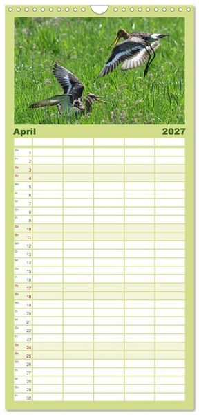 Produktbild: Familienplaner 2027 - Die bedrohten Uferschnepfen mit 5 Spalten (Wandkalender, 21 x 45 cm) CALVENDO