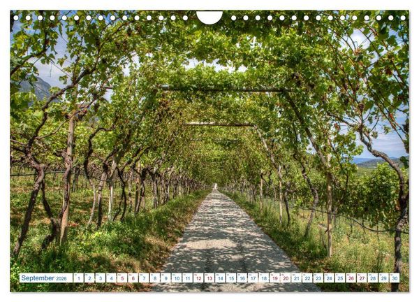 Produktbild: S&uuml;dtiroler Impressionen (Wandkalender 2026 DIN A4 quer), CALVENDO Monatskalender