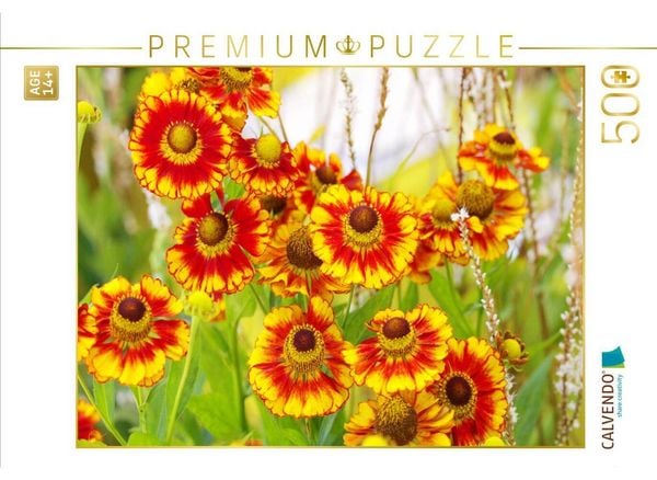 CALVENDO Puzzle Sonnenbraut Helenium | 500 Teile Lege-Größe 48 × 36 cm Foto-Puzzle für Erwachsene