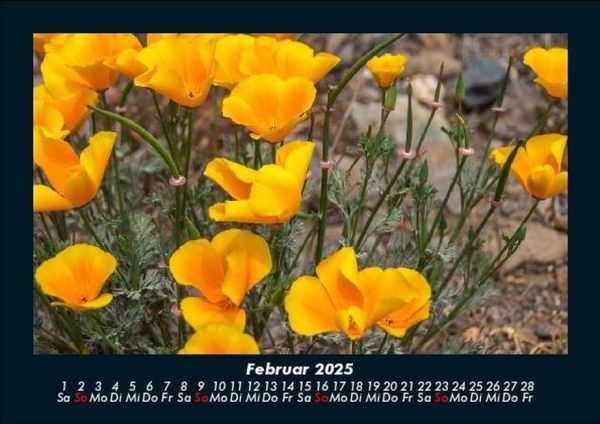 Produktbild: Blumenzauber 2025 Fotokalender DIN A5