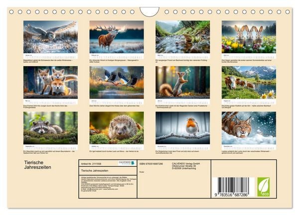 Produktbild: Tierische Jahreszeiten (Wandkalender 2026 DIN A4 quer), CALVENDO Monatskalender