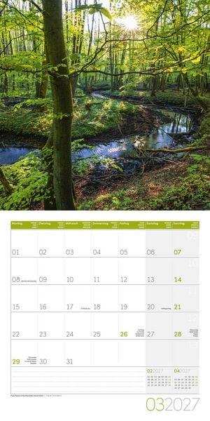 Produktbild: Zauber des Waldes Kalender 2027 - 30x30 - Art12