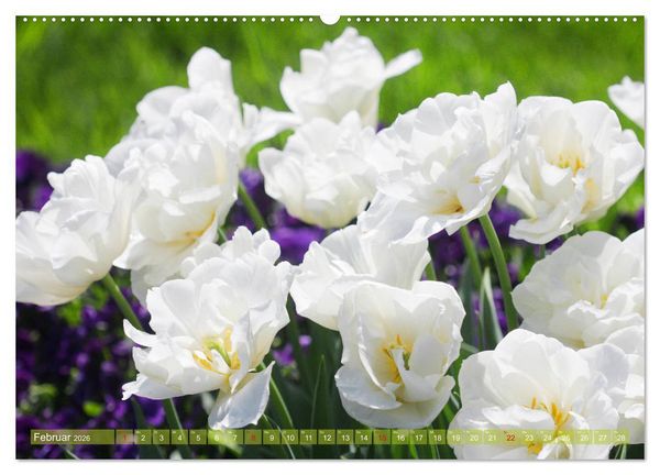 Produktbild: Wei&szlig;e Fr&uuml;hlingsbl&uuml;ten (Wandkalender 2026 DIN A2 quer), CALVENDO Monatskalender