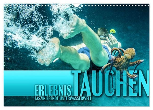 Produktbild: Erlebnis Tauchen - faszinierende Unterwasserwelt (Wandkalender 2026 DIN A3 quer), CALVENDO Monatskalender
