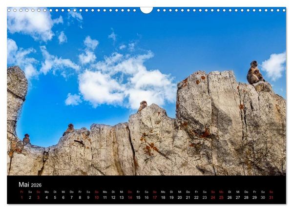 Produktbild: Gibraltar - der Affenfelsen (Wandkalender 2026 DIN A3 quer), CALVENDO Monatskalender