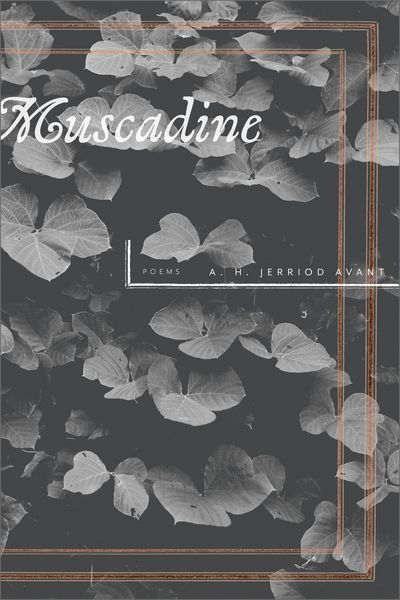 Produktbild: Muscadine