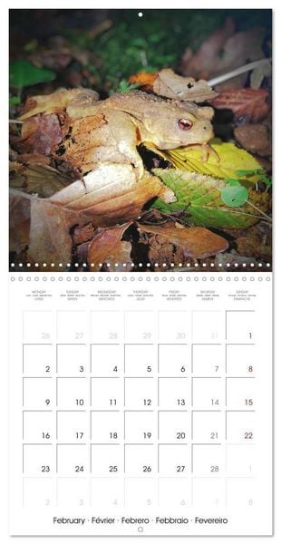 Produktbild: Blt, S: Esp&egrave;ces de Nouvelle Aquitaine (Calendrier mural carr