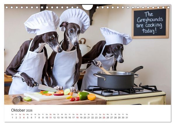 Produktbild: Funny Greyhounds - Windhunde mal anders (Wandkalender 2026 DIN A4 quer), CALVENDO Monatskalender
