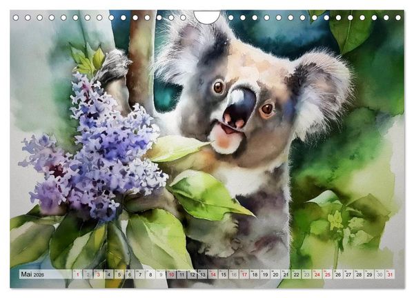 Produktbild: Koalas, liebenswerte kleine Schlafm&uuml;tzen (Wandkalender 2026 DIN A4 quer), CALVENDO Monatskalender