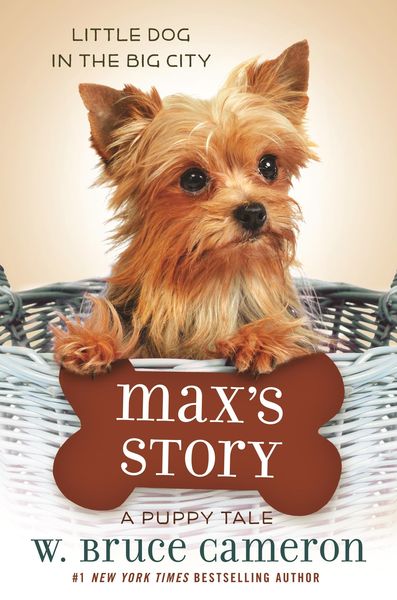 Produktbild: Max's Story