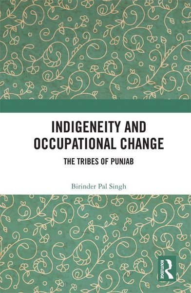 Produktbild: Indigeneity and Occupational Change