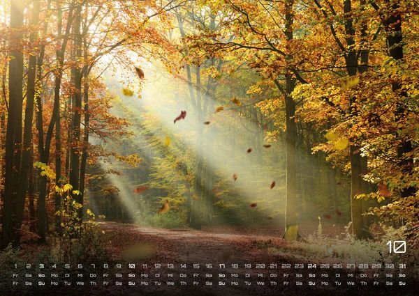 Produktbild: Wald - Erholung f&uuml;r Mensch und Tier - 2027 - Kalender DIN A2