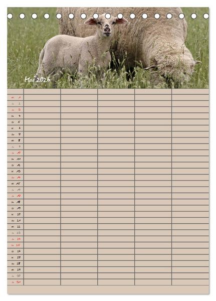 Produktbild: Der bel&auml;mmerte Familienplaner (Tischkalender 2026 DIN A5 hoch), CALVENDO Monatskalender