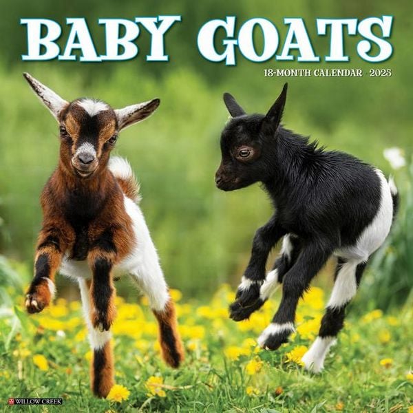 Produktbild: Baby Goats 2026 Wall Calendar