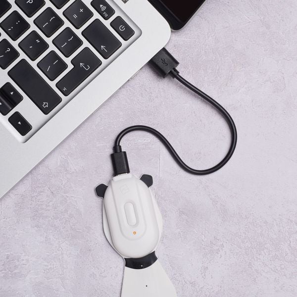 Produktbild: Flexilight Pals RC (Panda) - wiederaufladbares Leselicht - 2 in 1 Leselampe & Lesezeichen - LED Leselicht - Geschenk für Leser, Buchliebhaber - Deutsc